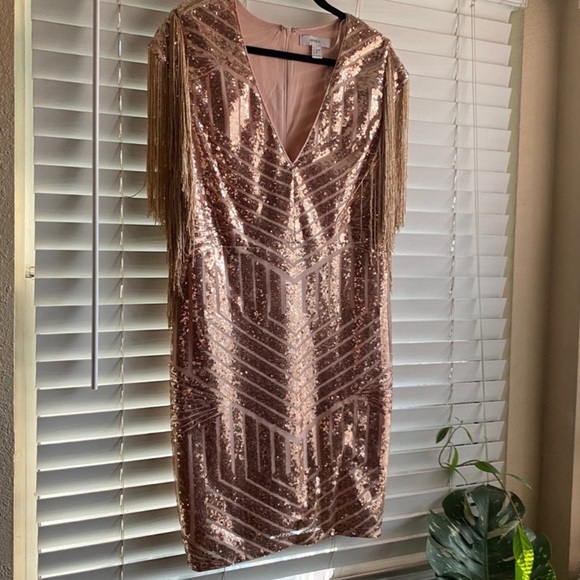 NWT Rose Gold and Fringe Party Dress - Picture 2 of 8